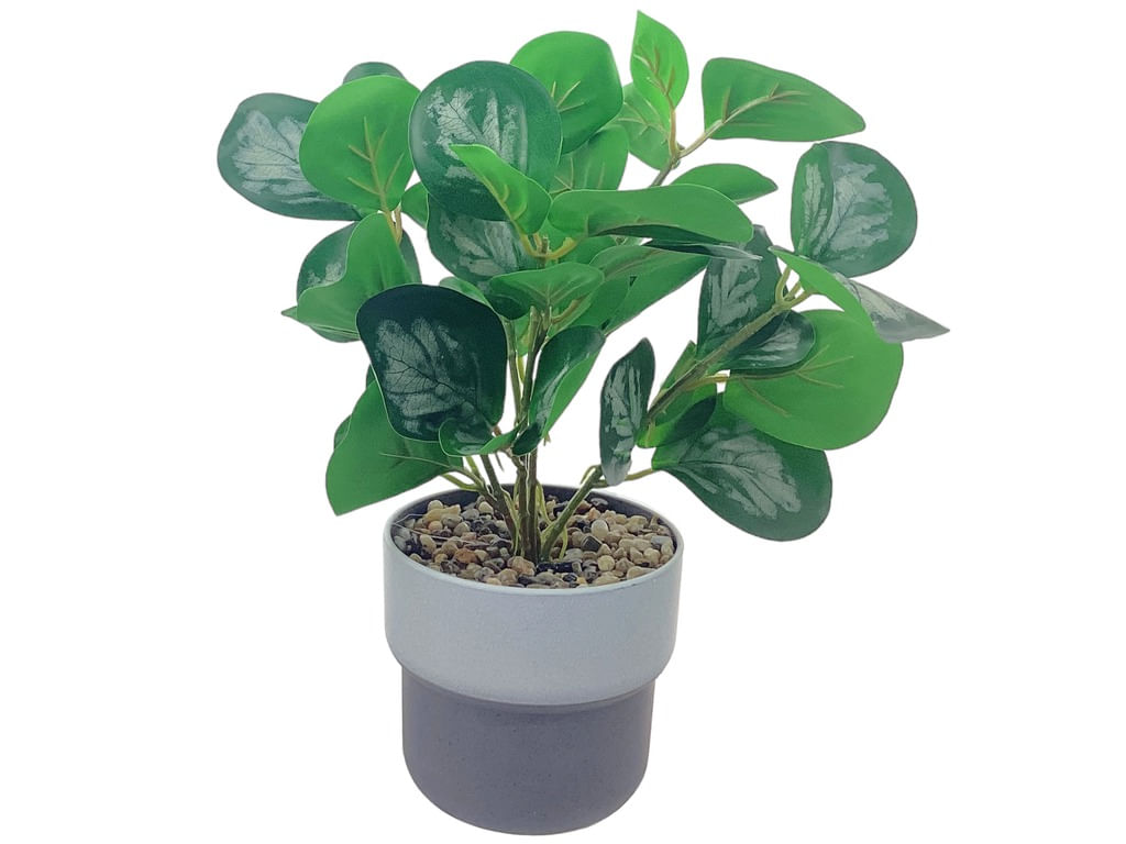 Planta Artificial 28X9.5Cm Decore
