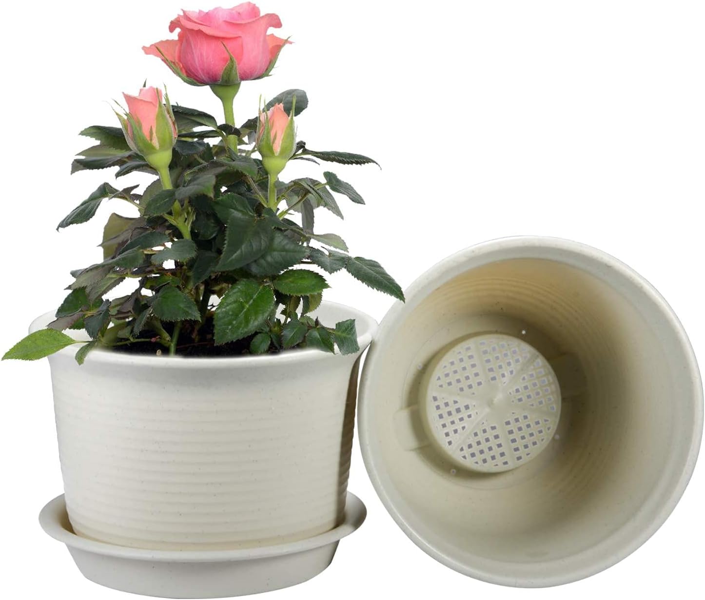 Macetero 27X19Cm Beige Casa Viva