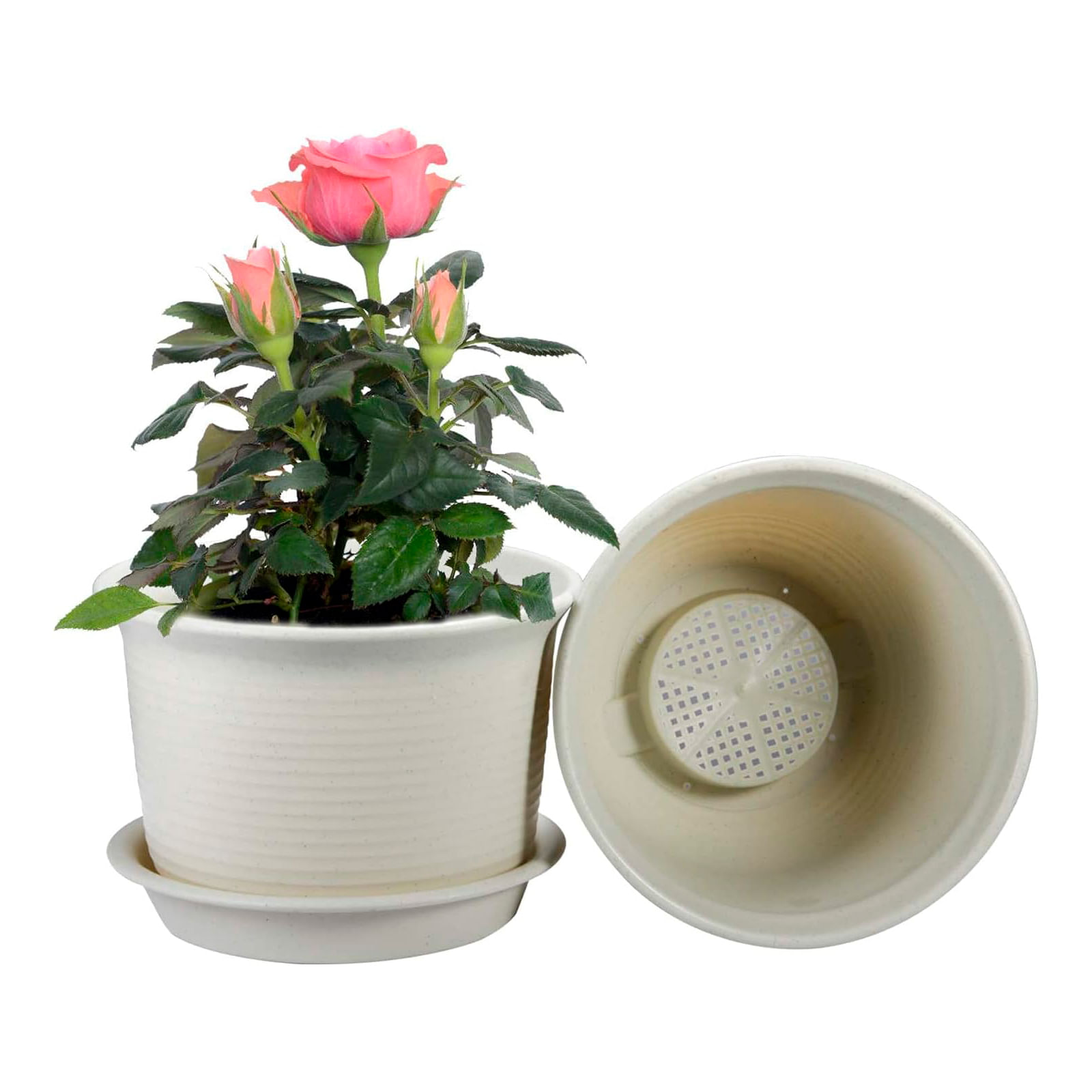 Macetero 24X17Cm Beige Casa Viva