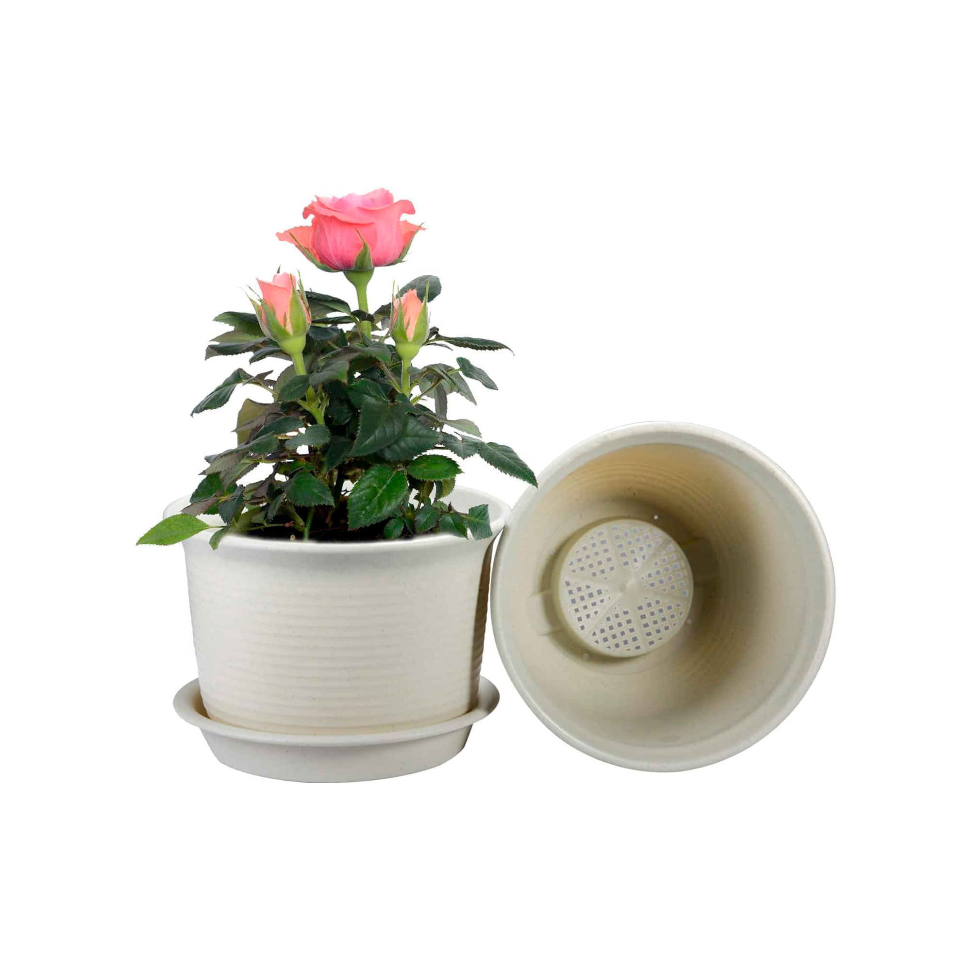 Macetero 21X15Cm Beige Casa Viva